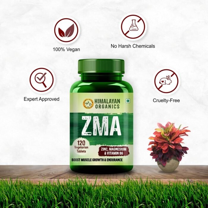 Himalayan Organics ZMA Zinc Magnesium Aspartate & Vitamin B6) For Men And Women Nighttime Sports Recovery Supplements Boost Muscle And Bone
