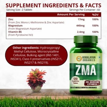 Himalayan Organics ZMA Zinc Magnesium Aspartate & Vitamin B6) For Men And Women Nighttime Sports Recovery Supplements Boost Muscle And Bone