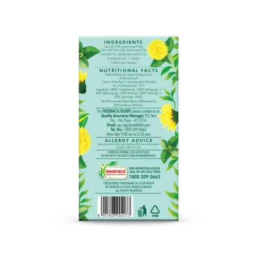 Eco Valley Organic Green Tea - Dandelion Mint - 25 Tea Bags Grown in Nilgiris Zero Calories