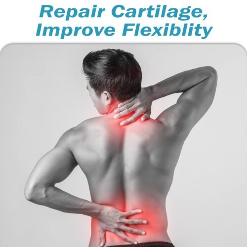 End2End Nutrition Joint Support Supplement with Glucosamine 1500mg, Chondroitin 400mg & MSM 400mg for Men and Women