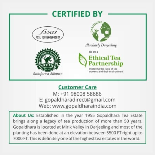 Gopaldhara Darjeeling Tea Elixir Fresh Green 250 Grams Paper Box - (Regular Series) FTGFOP1 Fresh Green Teas From the High Mountain Elevation 7000 Feet