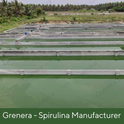 Grenera Spirulina Superfood Tablets 120 nos (1000 mg Per Serving) Pure