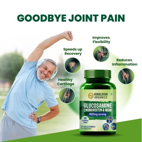 Himalayan Organics Glucosamine Chondroitin MSM with Boswellia Cartilage & Joint Support Supplement Glucosamine for Joint Relieves Pain and Stiffness - 120 Vegetarian Tablet