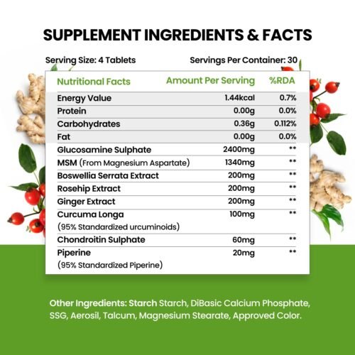 Himalayan Organics Glucosamine Chondroitin MSM with Boswellia Cartilage & Joint Support Supplement Glucosamine for Joint Relieves Pain and Stiffness - 120 Vegetarian Tablet