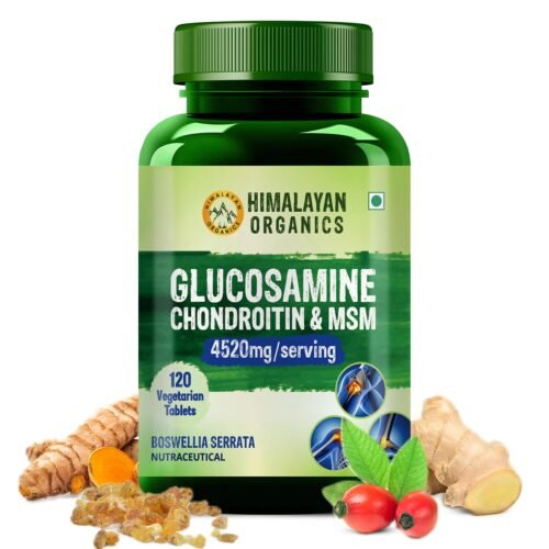 Himalayan Organics Glucosamine Chondroitin MSM with Boswellia Cartilage & Joint Support Supplement Glucosamine for Joint Relieves Pain and Stiffness - 120 Vegetarian Tablet