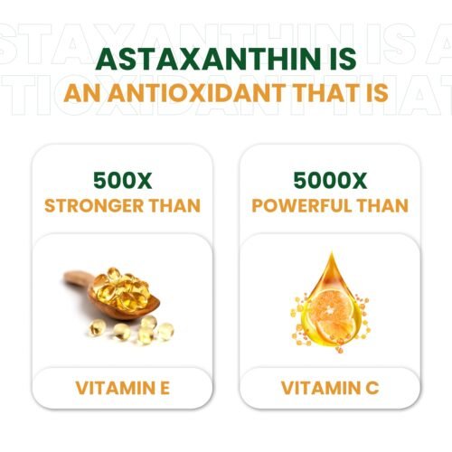 Himalayan Organics Naturally Sourced Astaxanthin 4mg Supports Antioxidant Brain,Eye & Skin Health Improves Muscle Endurance & Recovery