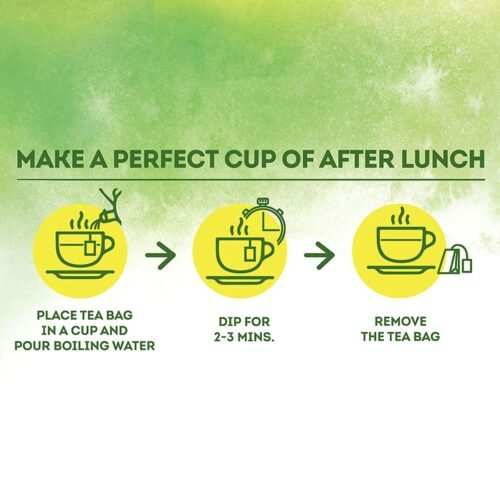 Lipton Sipndigest with Green Tea, Ginger, Tulsi & Rock Salt (Spiced Green Tea Bags), 50 Pcs, 90 Grams