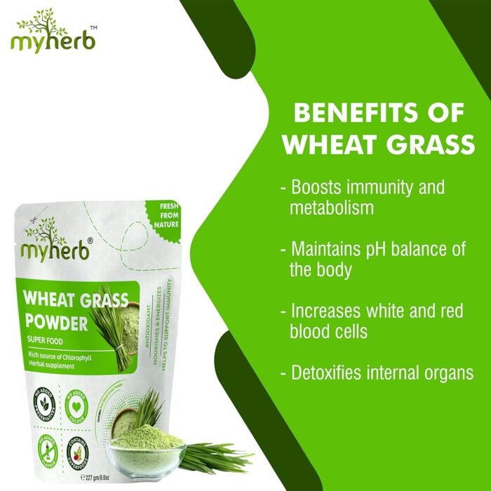 MYHERB 100% Natural Organic Wheat Grass Powder 227 Gm 0.5 Lbs Super Food Energy & Help To Immunity Support For Men & Women