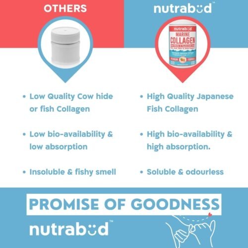Nutrabud Japanese Marine Collagen Powder Supplement for Women, Men No Added Sugar Supports Skin Radiance, Healthy Hair, Nails & Joints