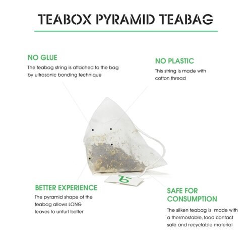 Teabox Green Tea Sampler Bags 20pcs (2pcs X 10 flavors) 100% Natural I Immunity Boosting Sampler Pack