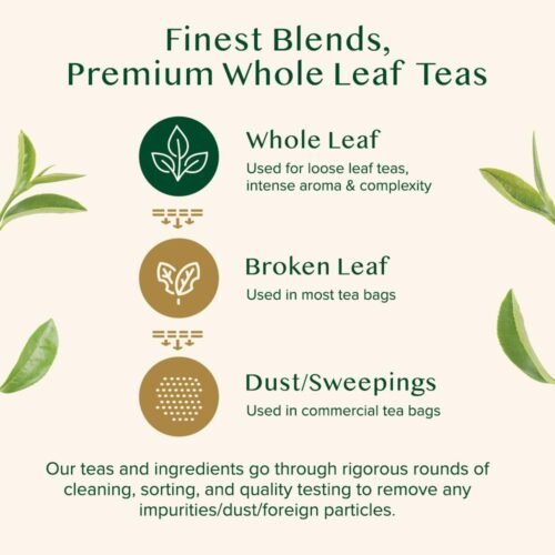 VAHDAM Green Tea Leaves from Himalayas (50+ Cups, 100g) 100% Natural Whole Loose Leaf Direct from Source Non GMO, Gluten Free