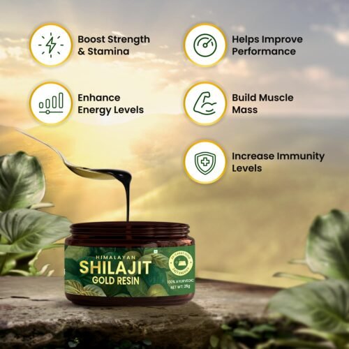 Himalayan Organics Shilajit Gold Resin - 25g | Contains 24 Carat Gold | 100% Ayurvedic | Pure and Natural Shilajeet | Helps to Boost Immunity, Energy, Strength, Stamina, and Overall Health - 25G