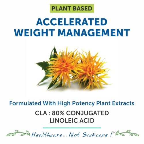 Bliss Welness CLA 2000 | 80% Conjugated Lenoleic Acid Safflower Oil Extract | High Potency Natural Pure Lean Muscle Build Weight Management Supplement