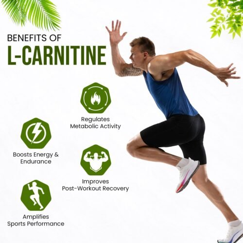 Himalayan Organic L-Carnitine 2000 Mg Healthy Weight Management Supports Muscle Recovery, Boost Energy