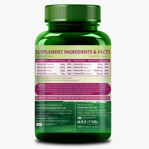 Himalayan Organics Plant Based Vitamin B Complex with 100% RDA B1, B2, B3, B5, B6, B9 & B12 Hair Growth, Boost Energy And Immunity