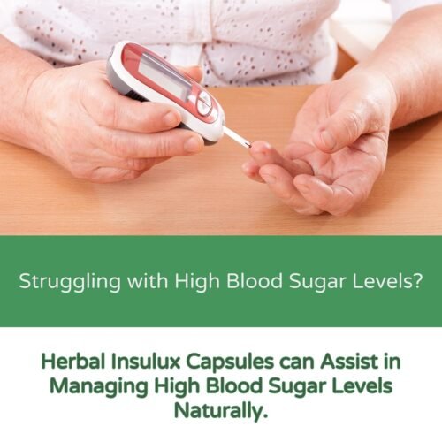 Healthy Nutrition - Just for the Health of it Insulux 750mg (60 Capsules) Support Endocrine Health & Diabetes Control