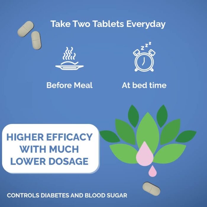 ZEROHARM HoloDiabetis - Blood Sugar Control Tablets - Diabetes care Tablets