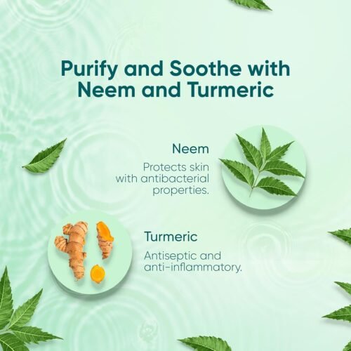 Himalaya Purifying Neem Facial Wipes