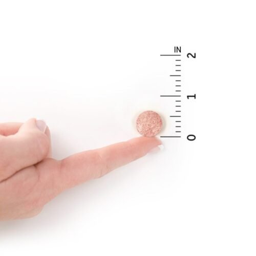 Garden of Life Probiotic Chewable Dr. Formulated Organic Kids6