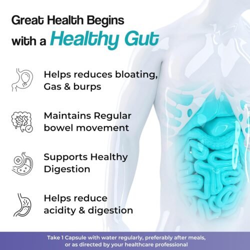 Health Veda Organics Digestive Enzyme Capsules2