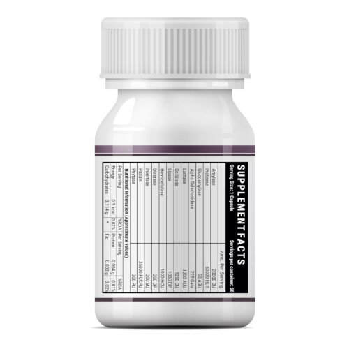 INLIFE Digestive Enzymes Supplement