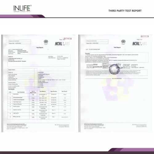 INLIFE Digestive Enzymes Supplement