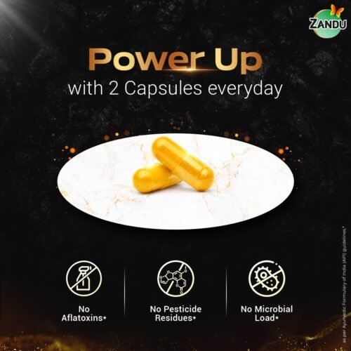 Zandu Shilajit Gold Plus