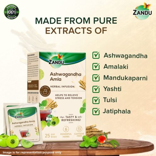 Zandu Ashwagandha Amla Ayurvedic Infusion