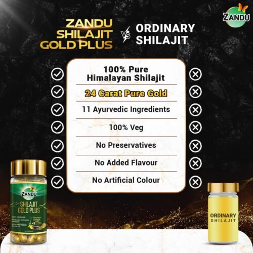 Zandu Shilajit Gold Plus
