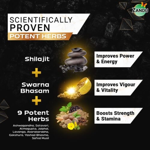 Zandu Shilajit Gold Plus