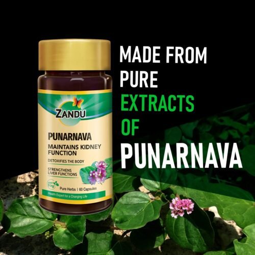 Zandu Punarnava Capsules, With Goodness of Natural Punarnava Extract