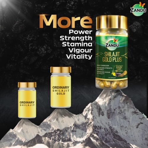 Zandu Shilajit Gold Plus