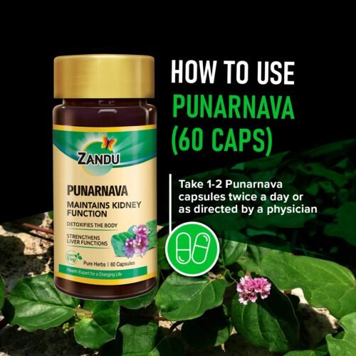 Zandu Punarnava Capsules, With Goodness of Natural Punarnava Extract
